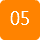 &nbsp;05